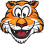 Tiger icon