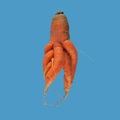 Quirky Carrots Memory Game app icon