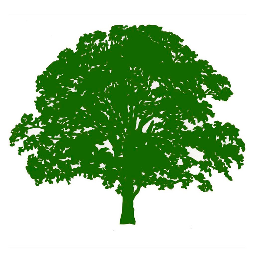 Forest Bathing Life app icon