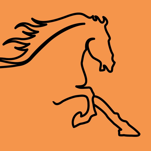 Töltriding app icon