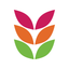 Pinnacle Flowers icon
