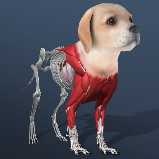 Idle Pet - Create cell by cell app icon