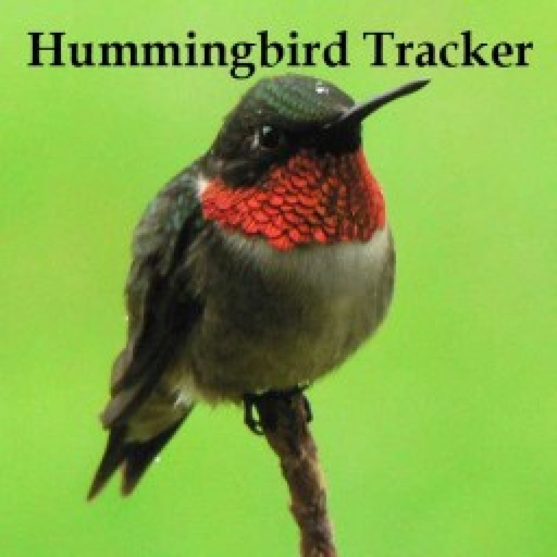 Hummingbird Tracker app icon
