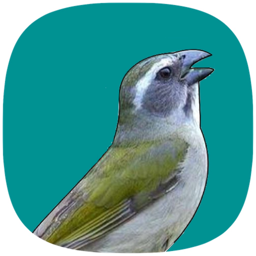 Trinca Ferro Verdadeiro app icon