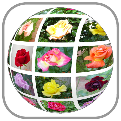 SafetyPhotos app icon