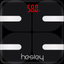 Hesley icon