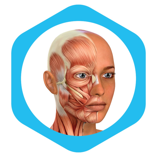 Medical Terminology Learning app icon