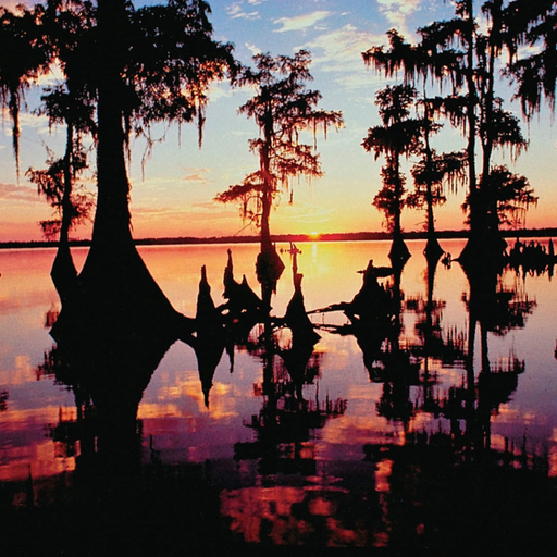 Bayou Federal Credit Union app icon