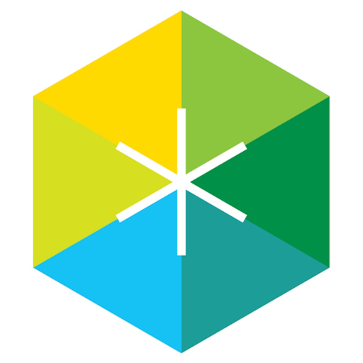 SafeAlign app icon