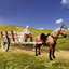Horse Cart Carriage Sim 2021 icon