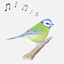 Bird Song ID (UK) icon