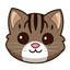 Cat Breed Scanner — CatsPedia icon