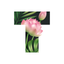 Text: Stylish fonts・Story font icon