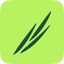 WealthBuddy icon