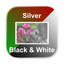 Silver B&W Photo Converter icon