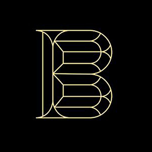 Belgium NY LLC app icon