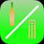 One Third Umpire icon