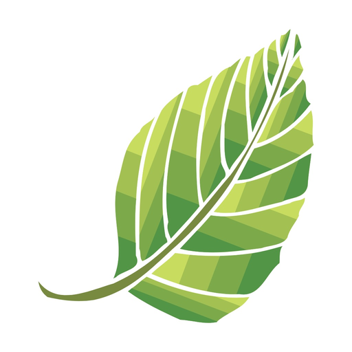Tintoreria Bosques app icon