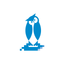 IS Hilversum icon