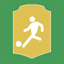 Foot Card icon