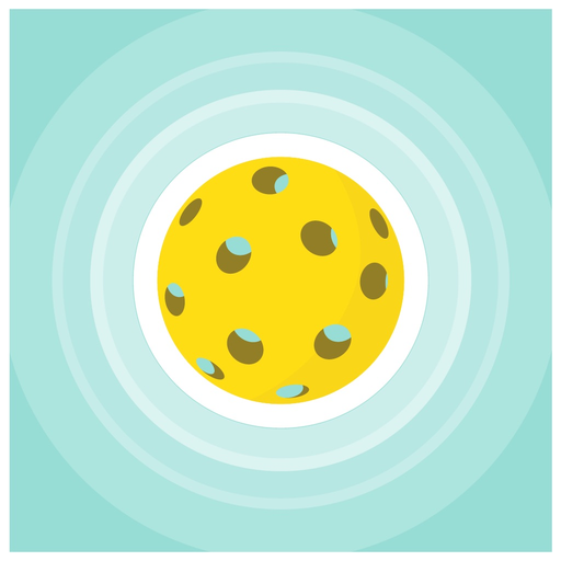 Pickleball Drills & Guide app icon