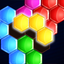 Block Puzzle: Hexa Game icon