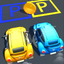 Park Master 3d icon