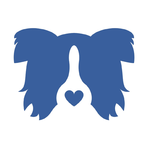 LAK Exclusive Services app icon