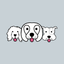 Fetch Fido icon