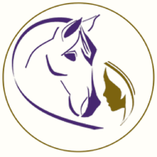 Connection Training app icon