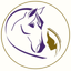 Connection Training icon