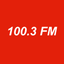 Stereo 100 icon