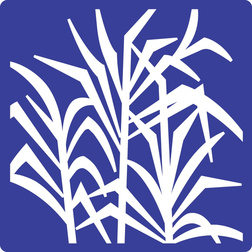 Waialua Federal Credit Union app icon