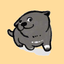 Dúi Cute icon