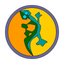 Falesia icon