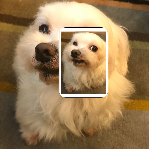 Recognize Me Mobile app icon
