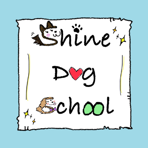 Shine Dog School app icon