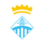 Sallent icon