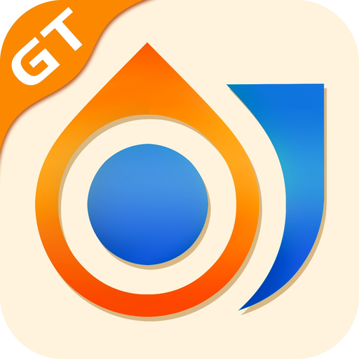 DING WATCH GT app icon