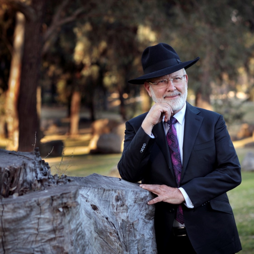Rabbi David Lapin app icon
