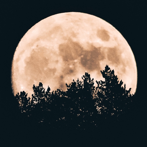 Deep Sleep Guided Meditation app icon