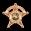 Montgomery County Sheriff IN icon
