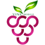 Vine Mobile icon