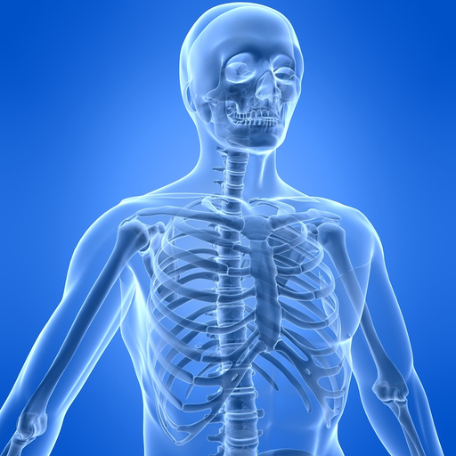 Learn Skeletal System app icon