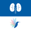 Responsum for CKD icon