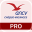 Chèque-Vacances Pro icon