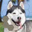 Jigsaw Hexa Block icon