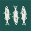 Greendale Fish & Chips icon