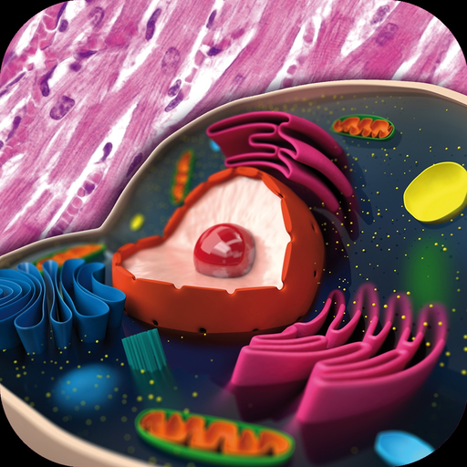 Memorix Histology QUIZ app icon