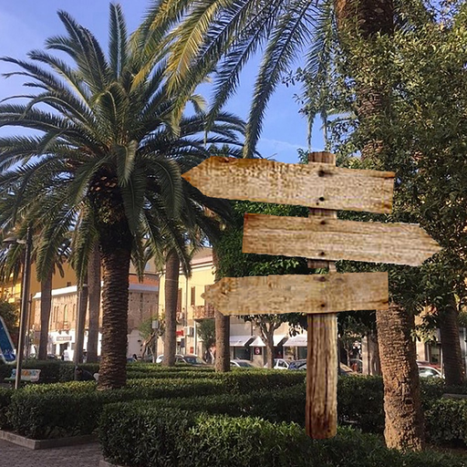 TalkOnTheGo app icon